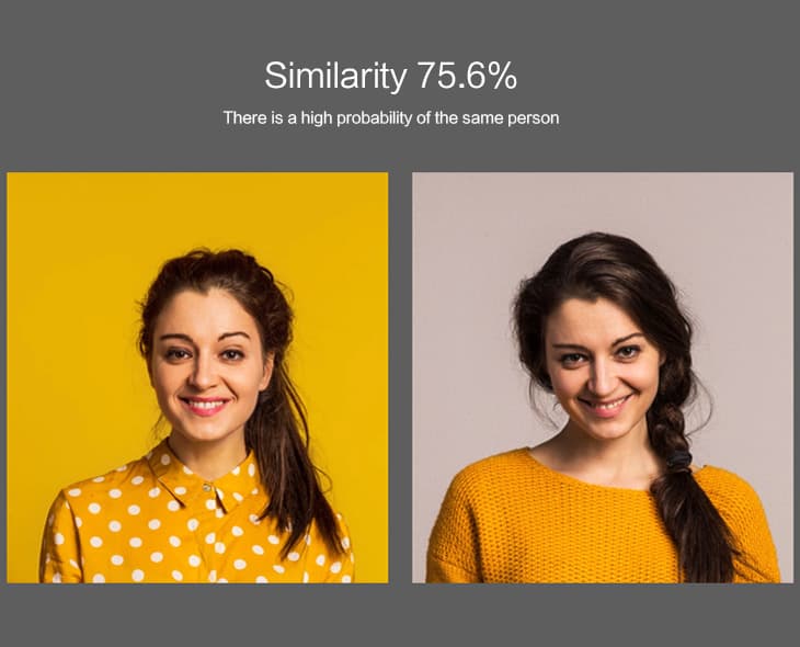 Image Similarity Search
